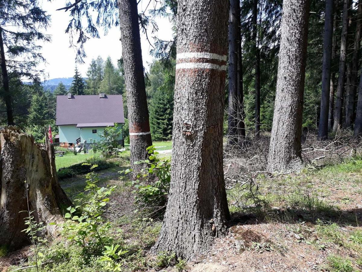 Chata Lipno Lipno nad Vltavou Eksteriør billede